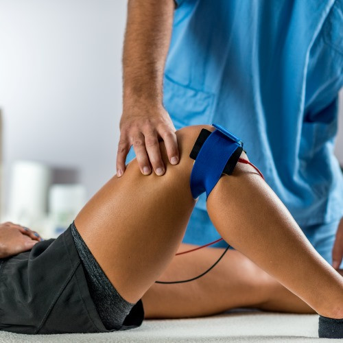 Physiotherapists